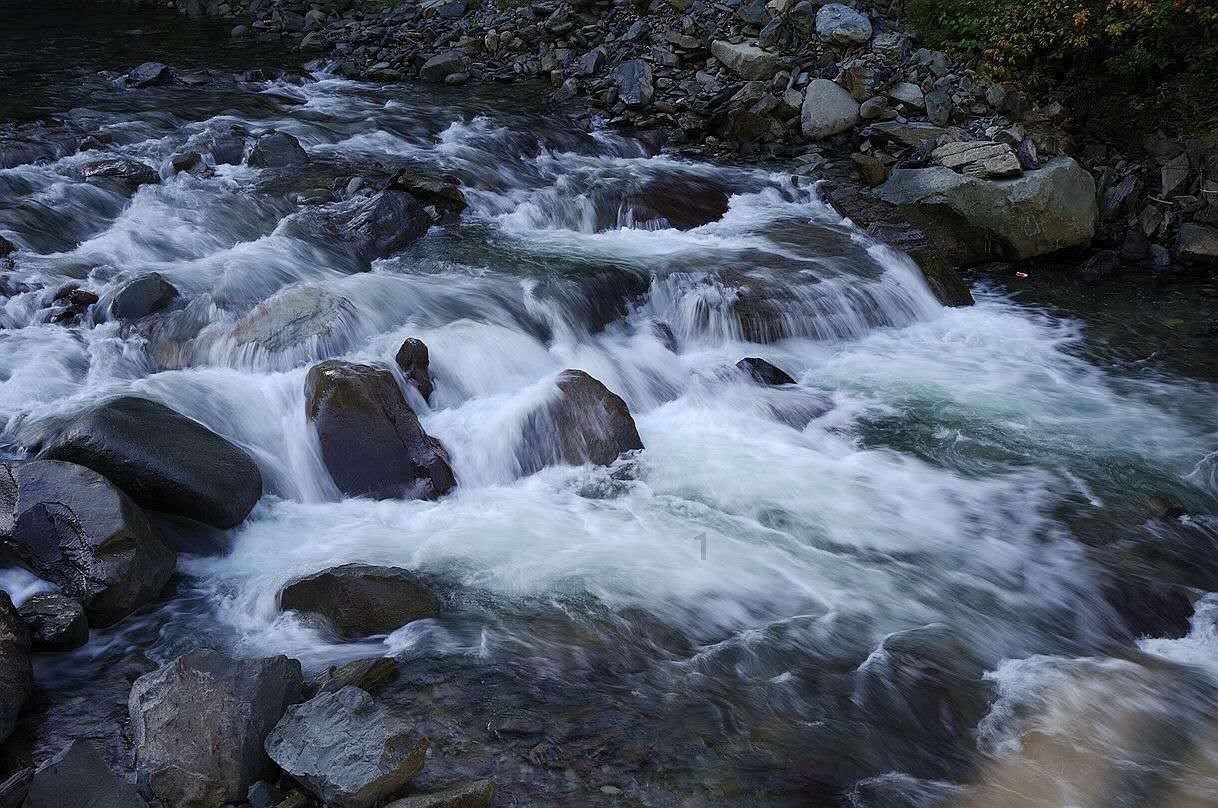 雷竞技比分